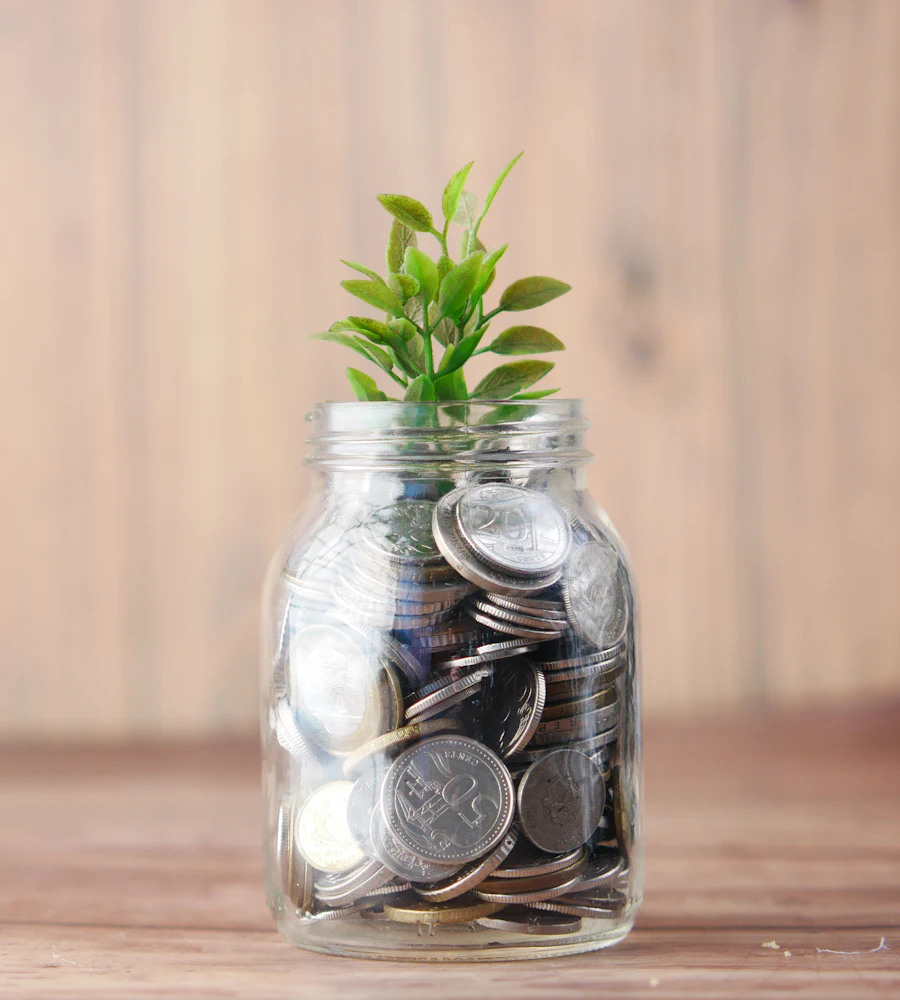 A jar of coins with a young plant growing from it